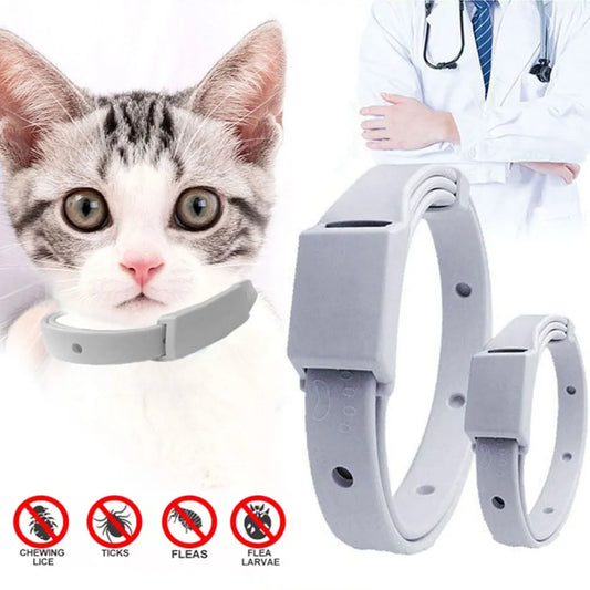 Cat Loverz Shield 8-Month Protection