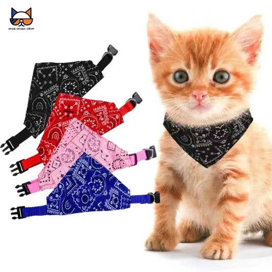 "Meow-Riffic Wrangler" Cat Collar